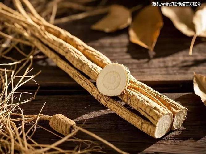 多元种植 推动农业结构优化与可持续发展