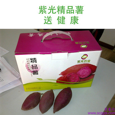 深耕有机紫薯 做大健康产业——射洪县紫光农业自主研发种植纪实