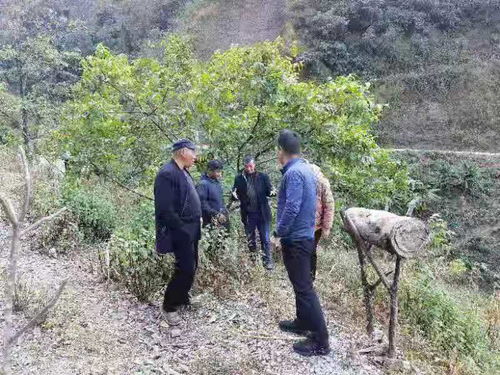 无标题