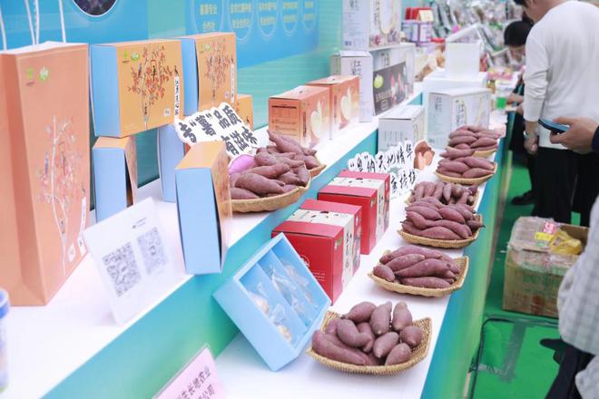 三级联动·智造新“薯”光 广东探索薯业全产业链科技化、数字化、品牌化升级之路